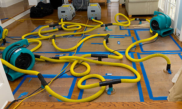 Professional Water Damage Restoration technician working in Henderson, IA